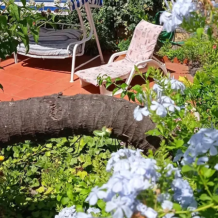 La Terrazza Barano dʼIschia
